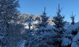 Photo N° 6