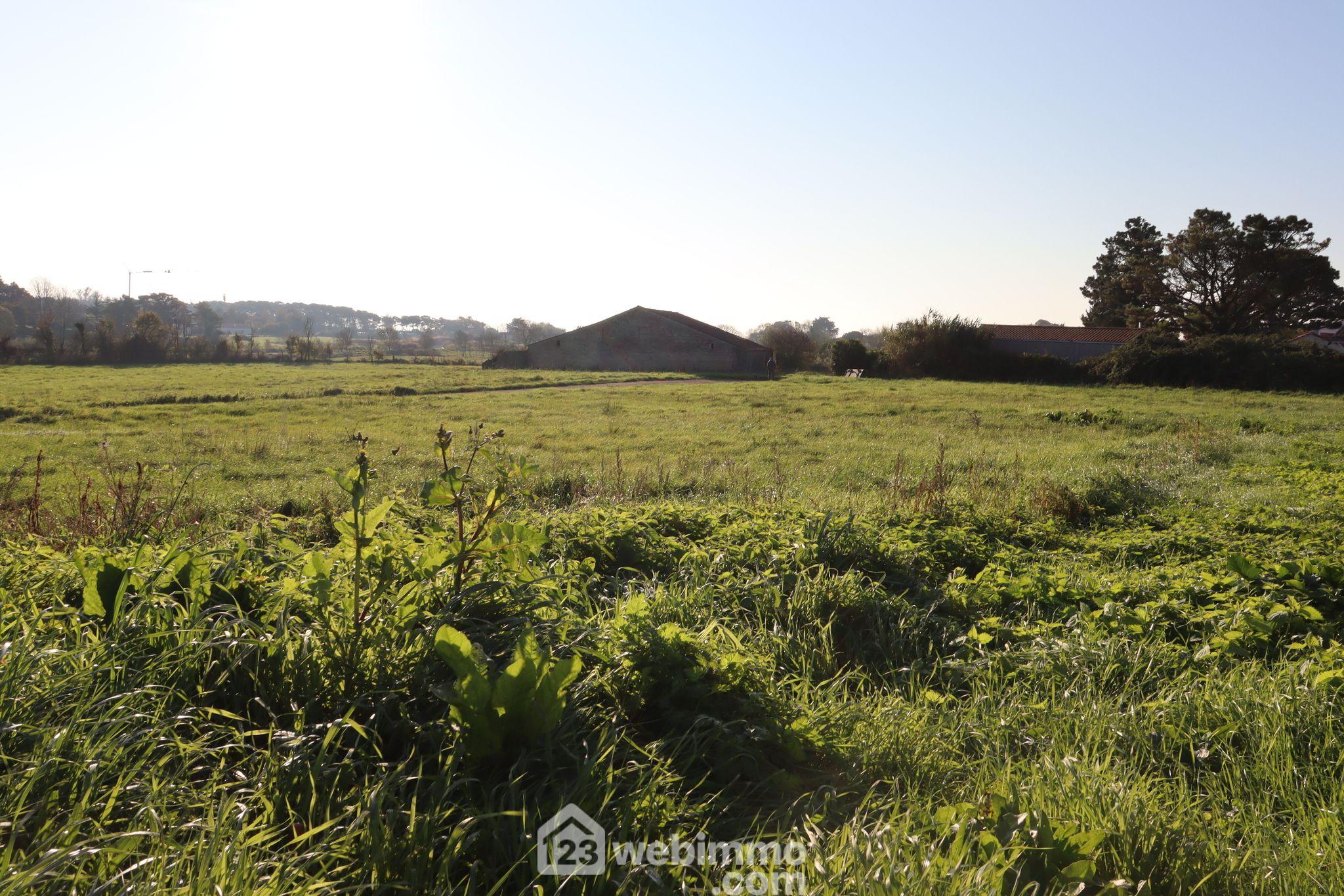 Photo Terrain à bâtir - 2757m² - Saint-Vincent-sur-Jard image 3/4