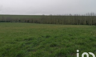 Photo N° 5
