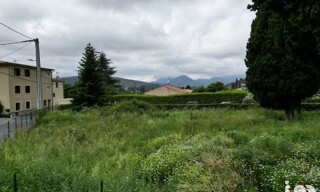 Photo N° 8