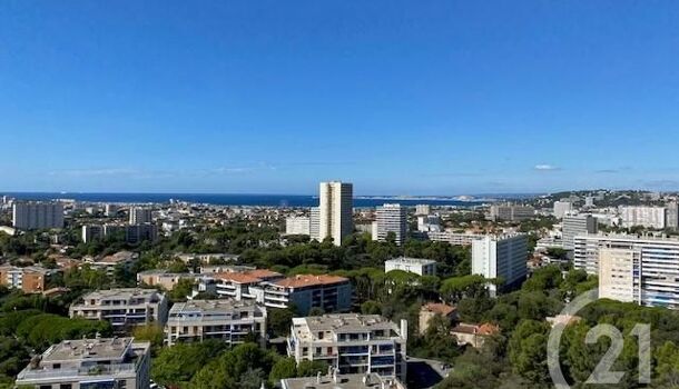 Appartement 2 pièces  à louer Marseille 9eme 13009