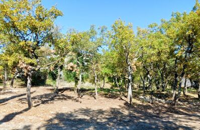 terrain  pièces 820 m2 à vendre à Forcalquier (04300)