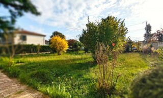 Photo N° 4