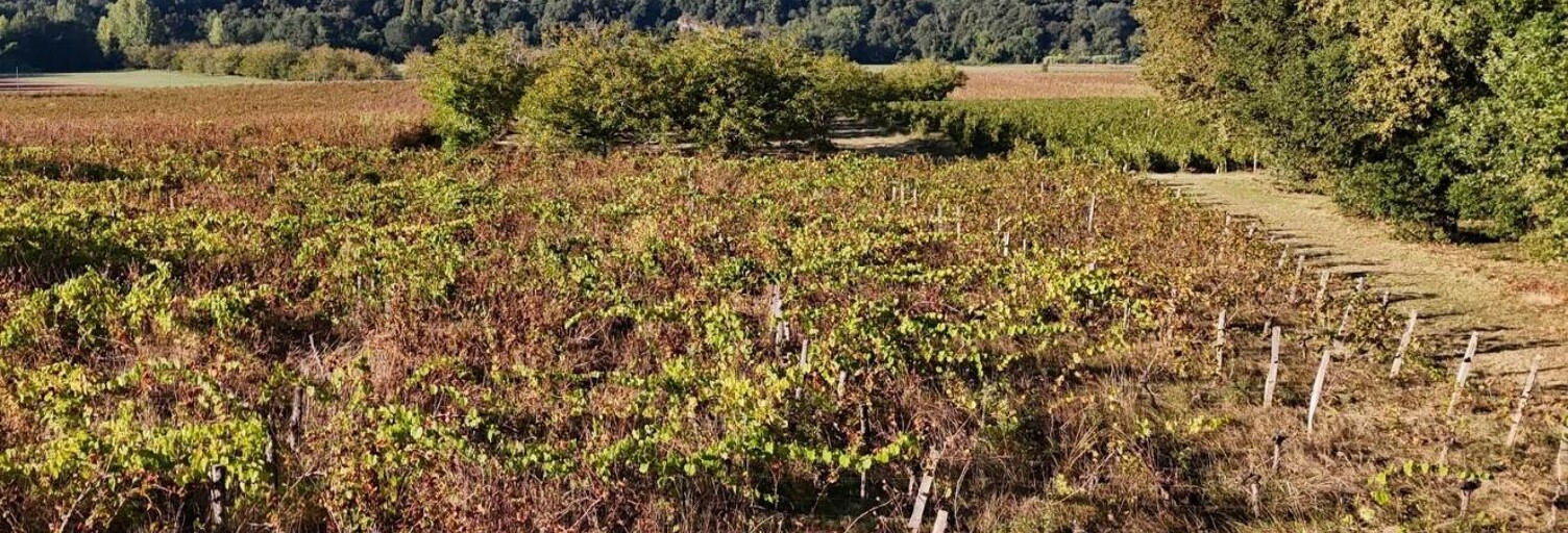 Terrain  7000 m² à vendre à Caillac (46140)