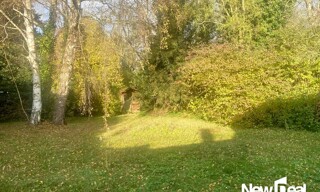 Photo N° 8