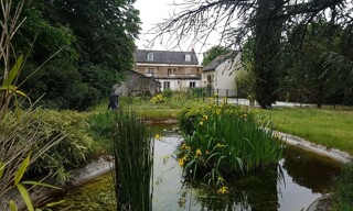 Photo N° 14