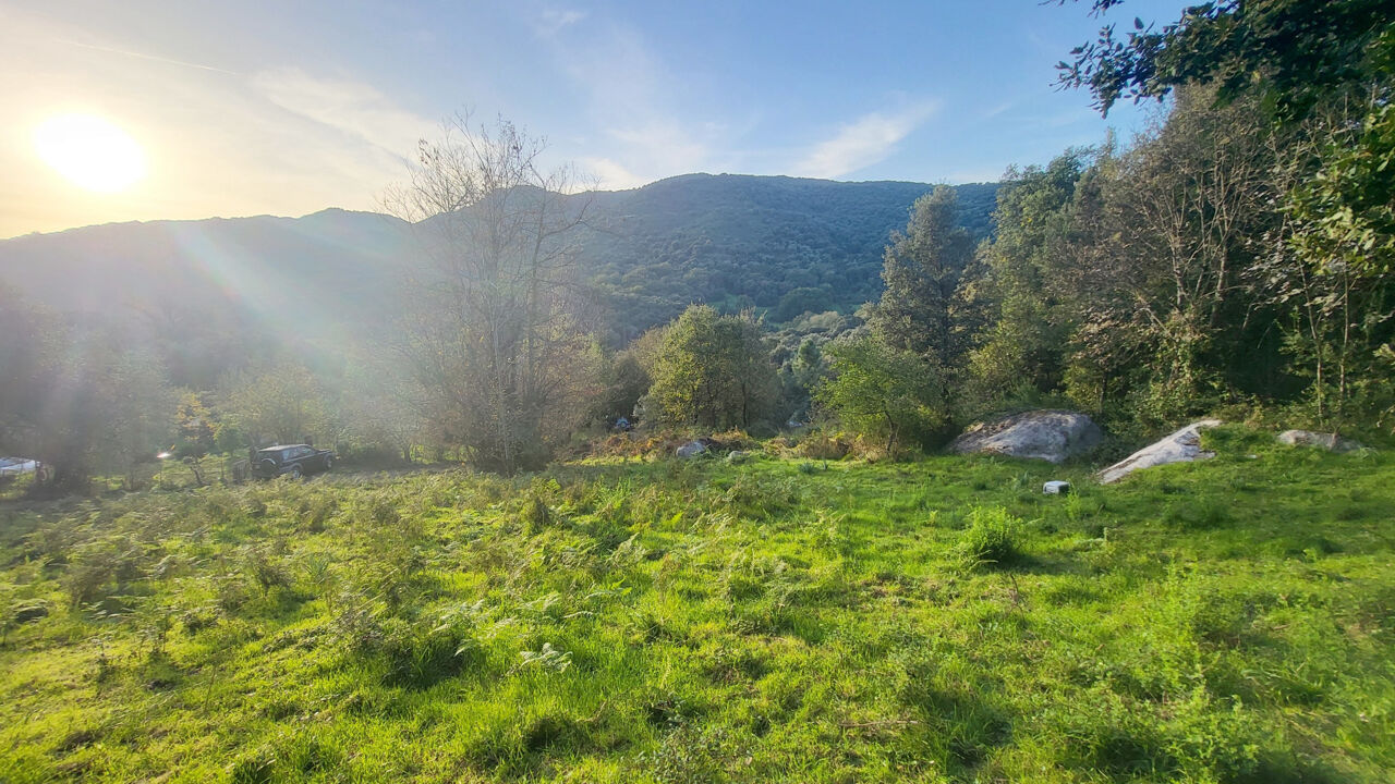 terrain  pièces 1500 m2 à vendre à Forciolo (20190)