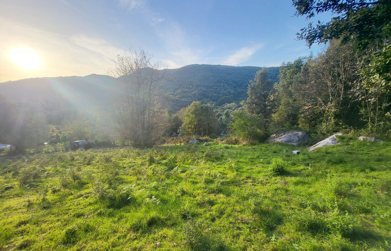 terrain  pièces 1500 m2 à vendre à Forciolo (20190)