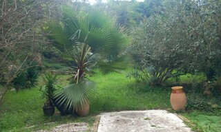 Photo N° 4