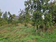 Terrain 773 m2 à bâtir à Balbronn — photo 2