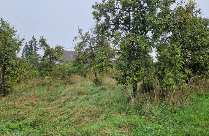 Terrain 773 m2 à bâtir à Balbronn — photo 2