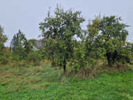 Terrain 773 m2 à bâtir à Balbronn — photo 3