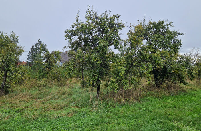 Terrain 773 m2 à bâtir à Balbronn — photo 3