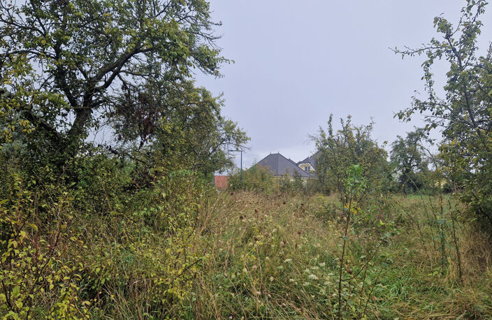 Terrain 773 m2 à bâtir à Balbronn — photo 5