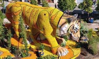 Appartement 2 Pièces 50 m² à vendre à Menton (06500)