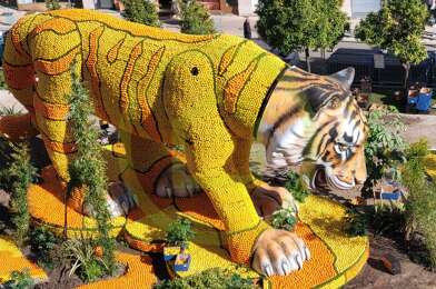 Appartement 2 pièces 519000 €