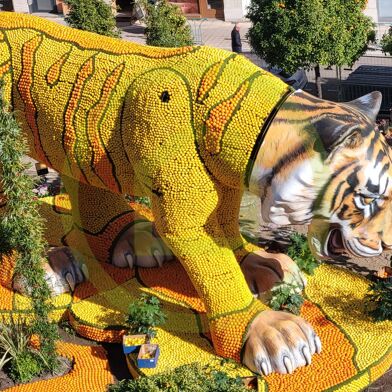 Appartement 2 pièces 519000 €