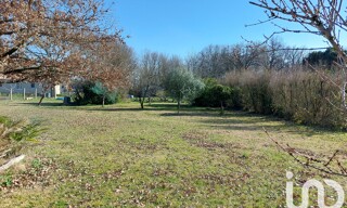Photo N° 4