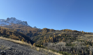 Photo N° 4