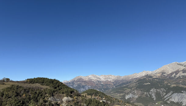 Terrain  à vendre Sauze (Le) 04400