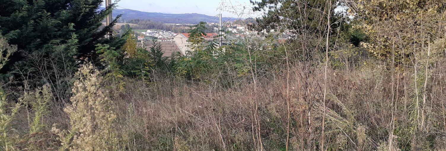 Terrain  750 m² à vendre à Saint-Chamond (42400)