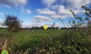 Maison 1 Pièce  m² à vendre à Sancoins (18600)