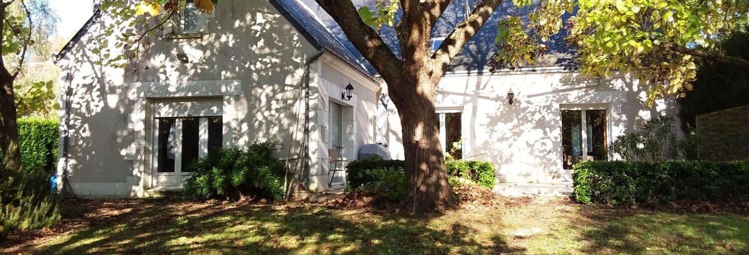 Maison 8 Pièces 187 m² à vendre à Cour-Cheverny (41700)