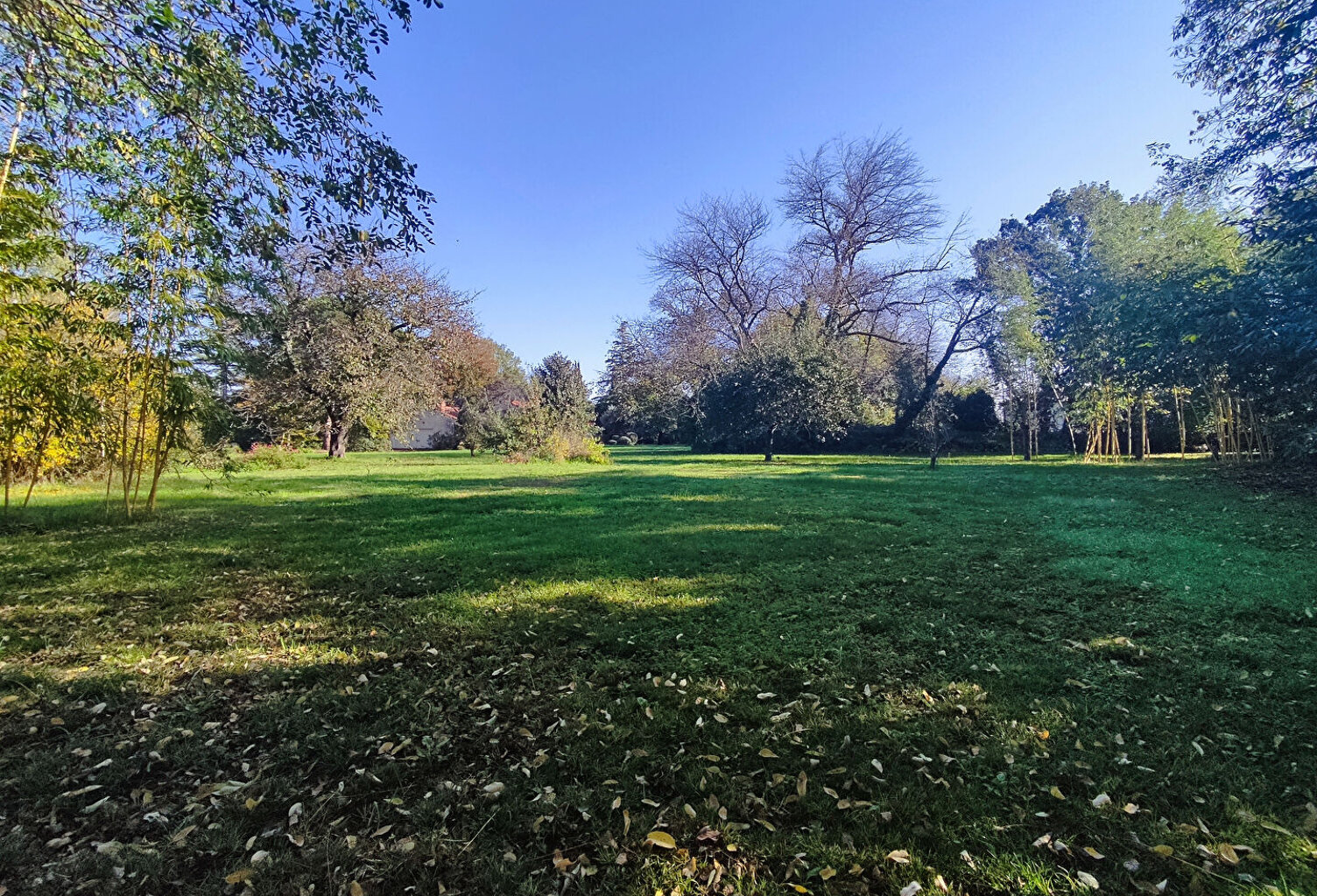 terrain constructible de 1567 m² — photo 1