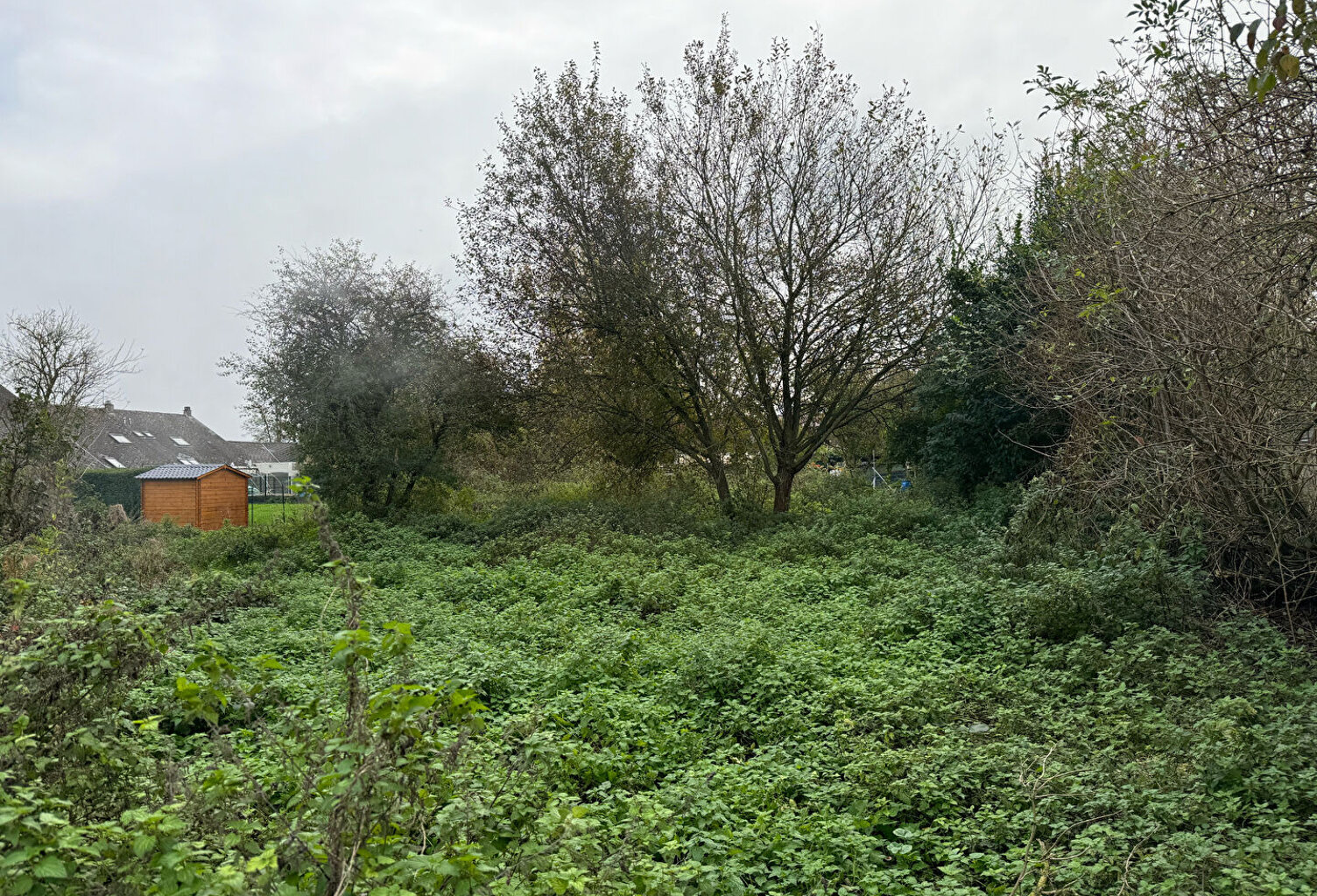 Terrain Le Quesnoy 807 m2 — photo 1