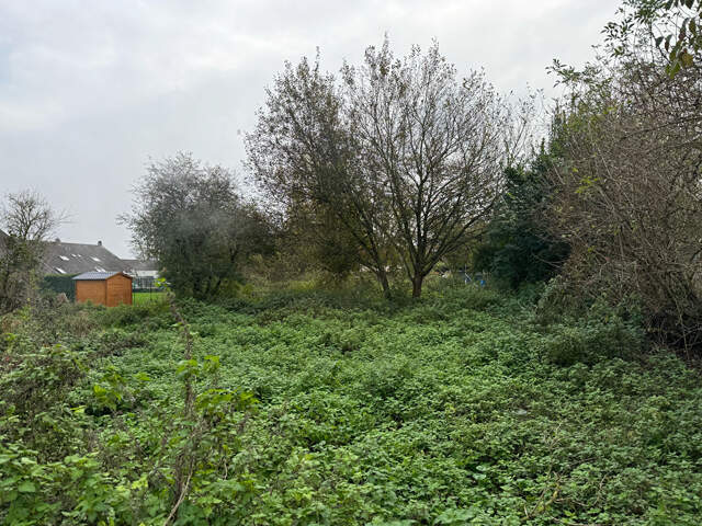 Terrain Le Quesnoy 807 m2 — photo du bien
