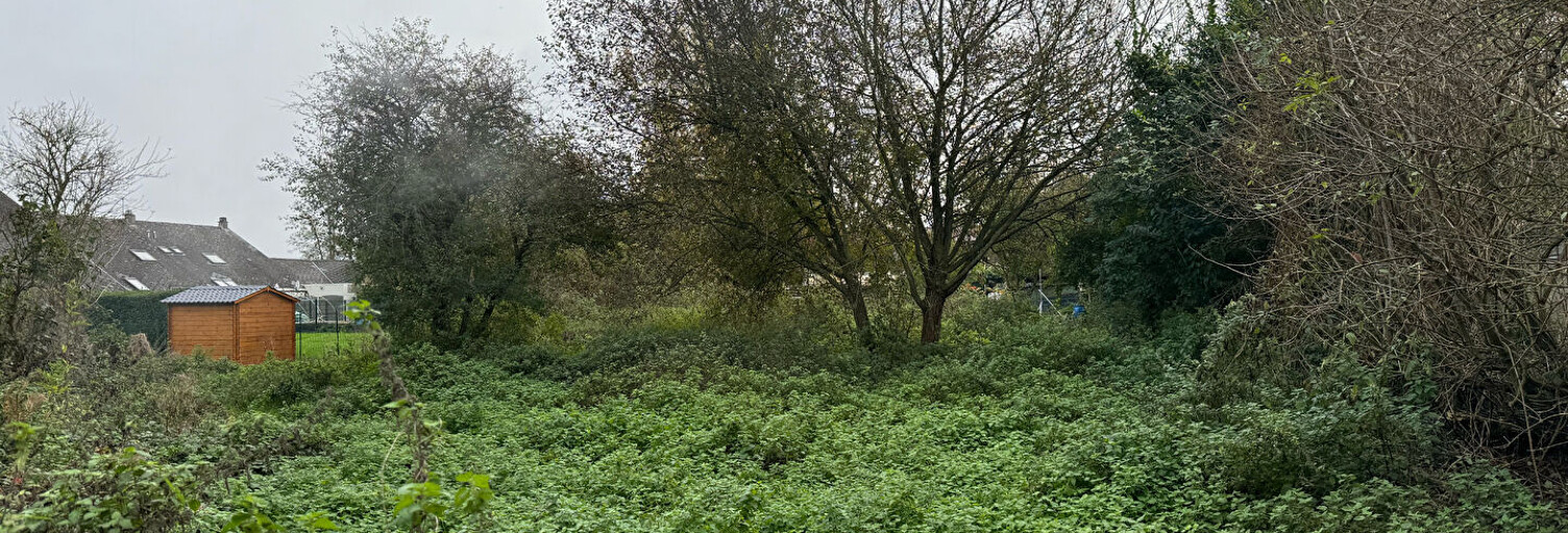 Terrain  807 m² à vendre à Le Quesnoy (59530)