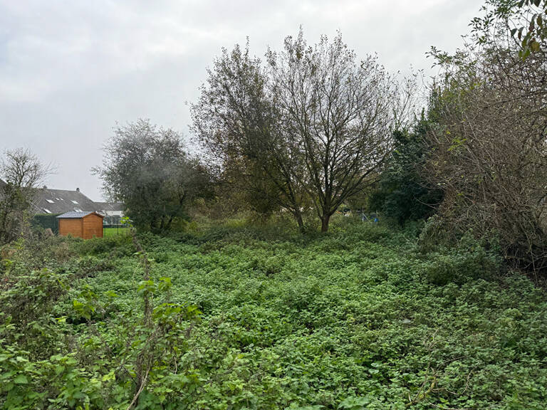 Terrain Le Quesnoy 807 m2 — photo 1