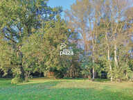 Plaza Immobilier - Fontenilles - Maison T7 - Plain pied de 186 m2 avec Garage , Piscine, Espaces naturels boisés — photo 4