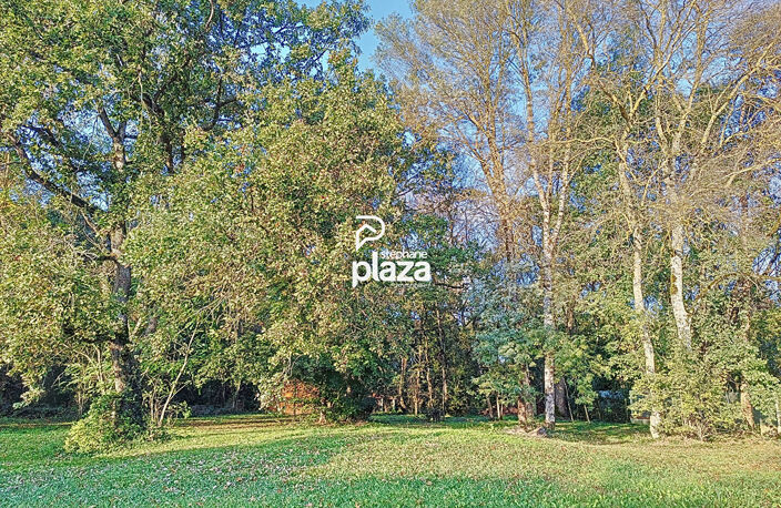 Plaza Immobilier - Fontenilles - Maison T7 - Plain pied de 186 m2 avec Garage , Piscine, Espaces naturels boisés — photo 4