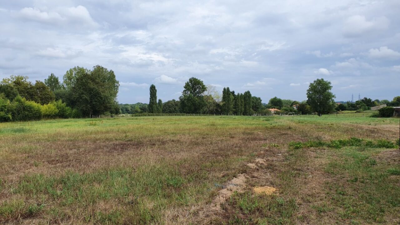 terrain  pièces 602 m2 à vendre à Pugnac (33710)