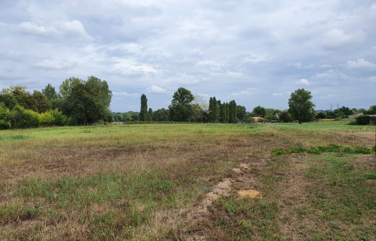 terrain  pièces 602 m2 à vendre à Pugnac (33710)