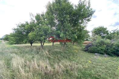 Terrain  20000 €