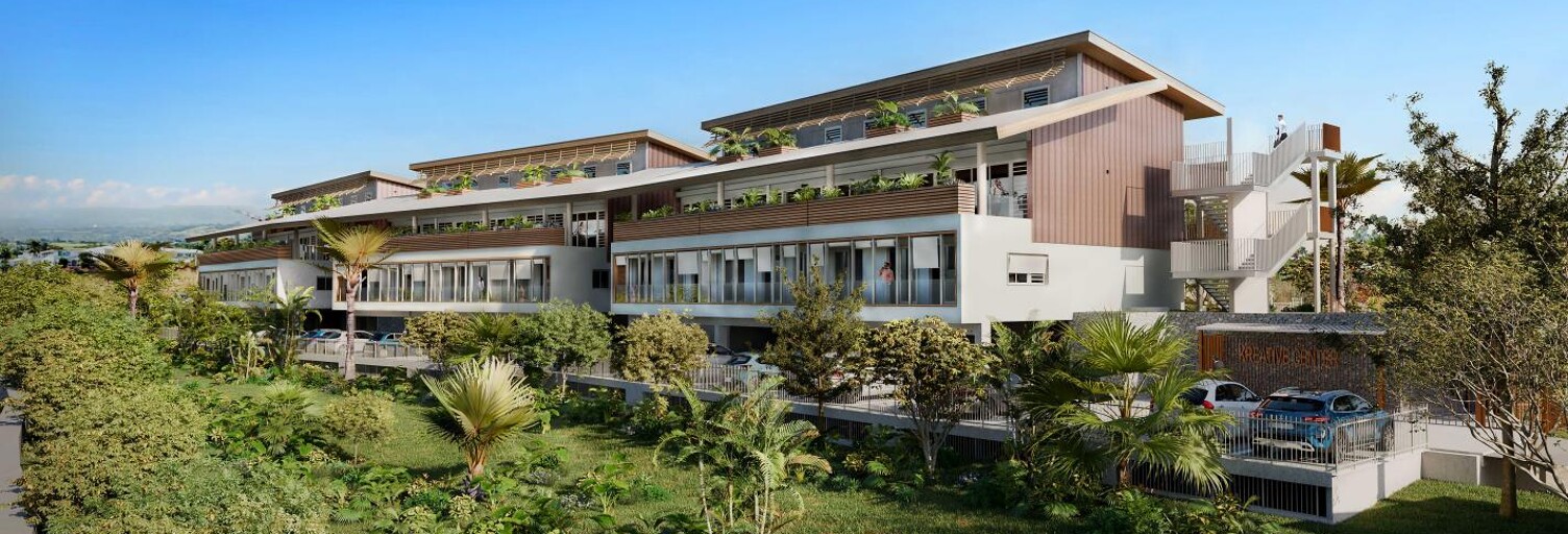 Commerce  50 m² à vendre à Saint-Paul (97460)