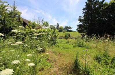 terrain  pièces 2000 m2 à vendre à Beaune (21200)