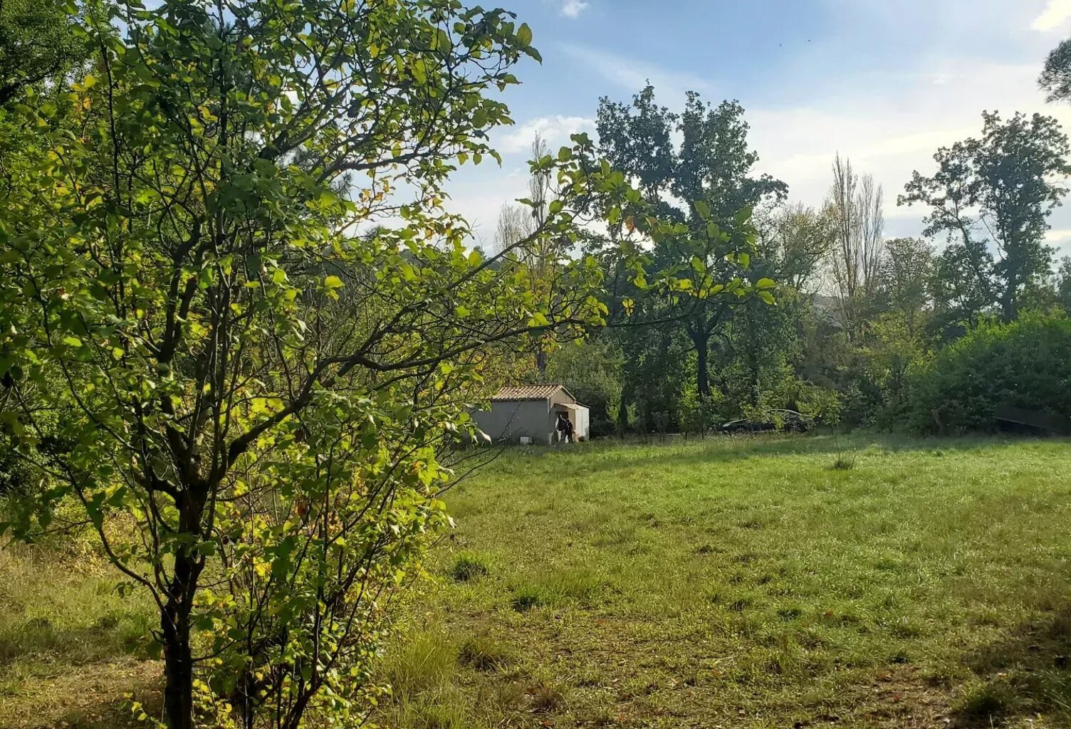 A vendre  un terrain de 5085m² avec une bâtisse de 67m² — photo 1