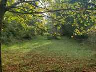A vendre  un terrain de 5085m² avec une bâtisse de 67m² — photo 2