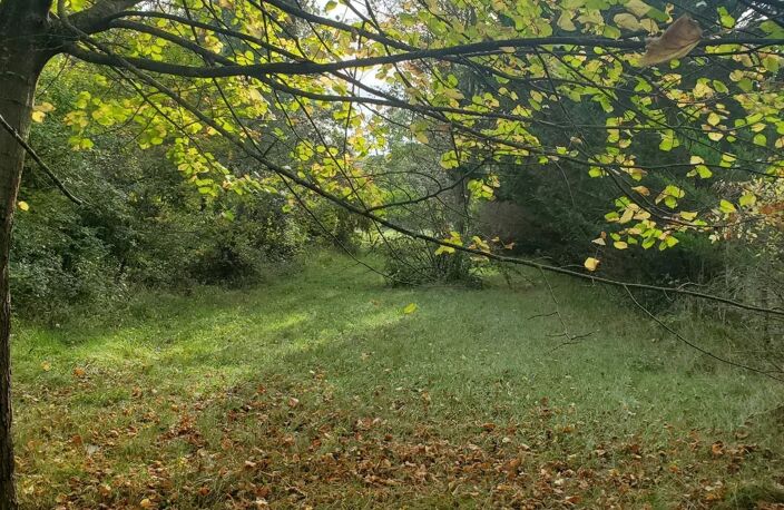 A vendre  un terrain de 5085m² avec une bâtisse de 67m² — photo 2
