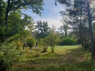 A vendre  un terrain de 5085m² avec une bâtisse de 67m² — photo 3