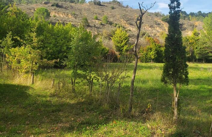 A vendre  un terrain de 5085m² avec une bâtisse de 67m² — photo 4