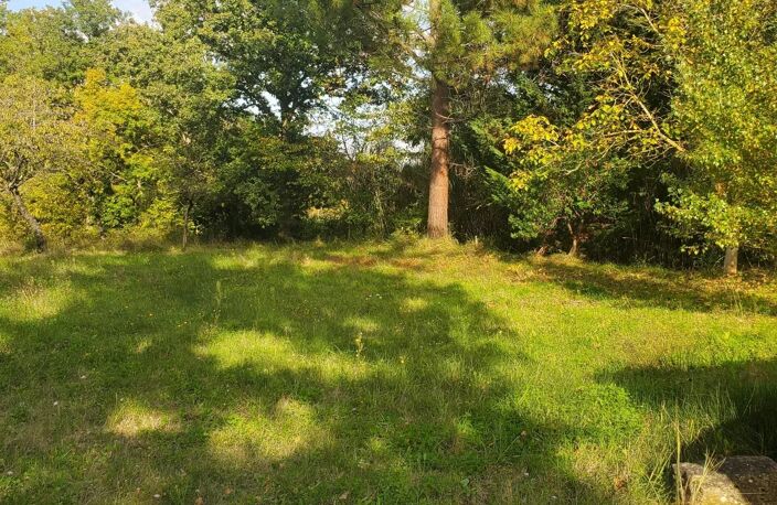 A vendre  un terrain de 5085m² avec une bâtisse de 67m² — photo 5