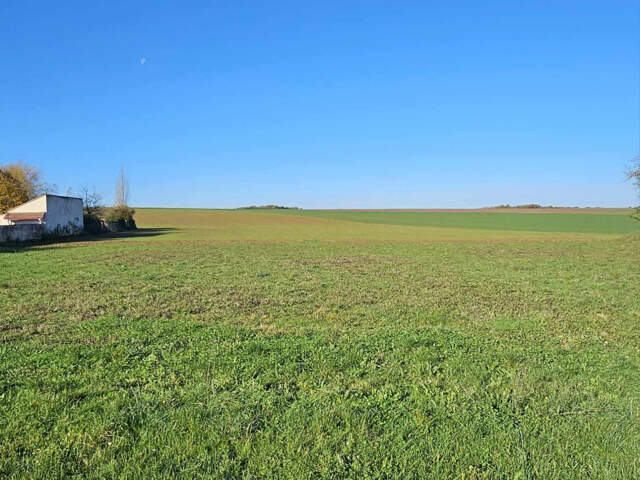 Terrain à 20 minutes au nord de SENS — photo du bien