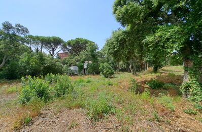 terrain  pièces  m2 à vendre à Grimaud (83310)