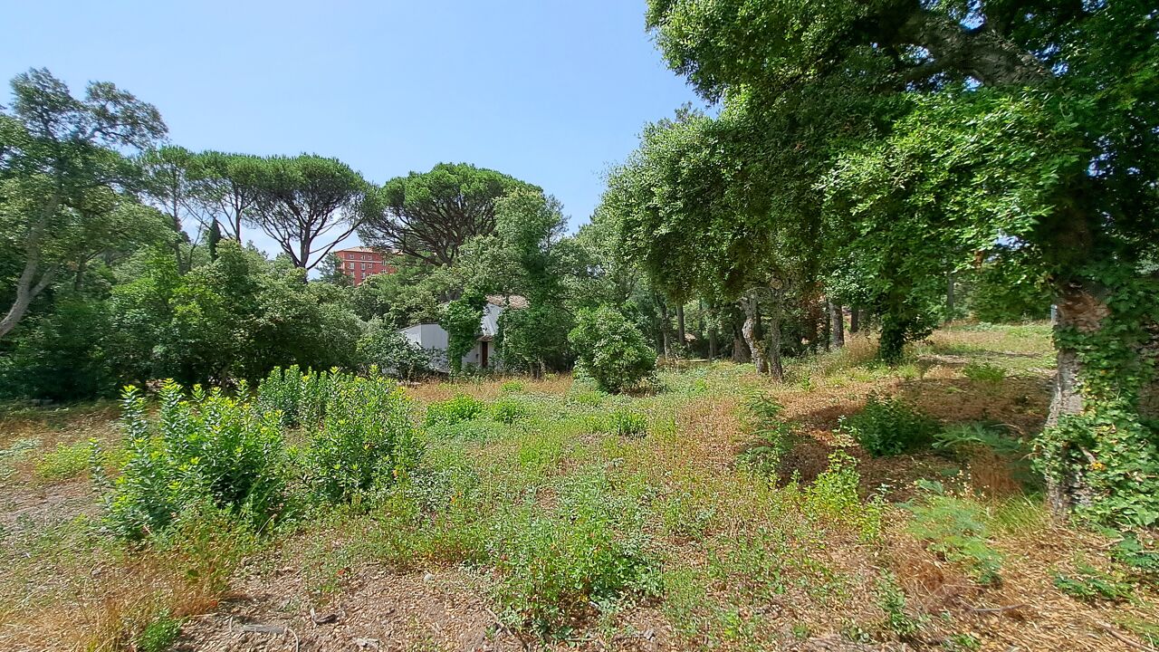 terrain  pièces  m2 à vendre à Grimaud (83310)