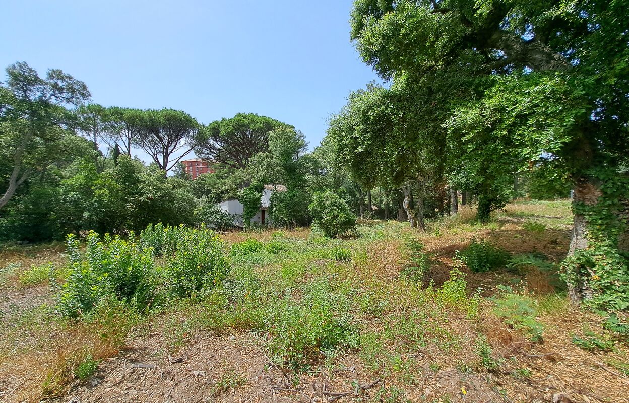 terrain  pièces  m2 à vendre à Grimaud (83310)