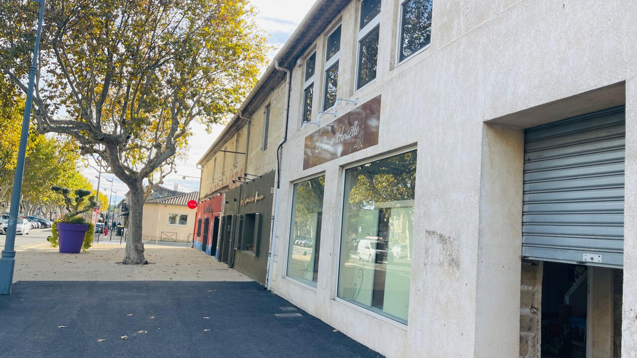 maison 15 pièces 540 m2 à vendre à Aimargues (30470)